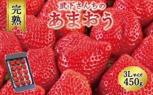 【今期発送の受付は2025年4月27日(日)まで】★福岡の産直いちご農家★武下さんちの「完熟あまおう」3Lサイズ 450g【あまおう 完熟 いちご 苺 イチゴ くだもの 果物 フルーツ 大粒 450g ご当地 ブランド ギフト 人気 おすすめ 送料無料 福岡県 大川市 AA028】