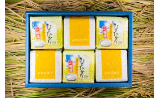 2025年秋収穫分 福岡県大川市産ヒノヒカリ キューブデザイン 6個入り【ギフト包装】