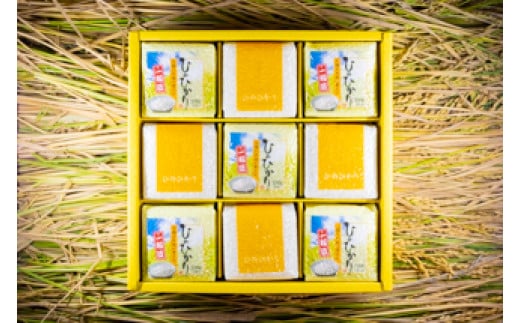 2025年秋収穫分 福岡県大川市産ヒノヒカリ キューブデザイン 9個入り【ギフト包装】