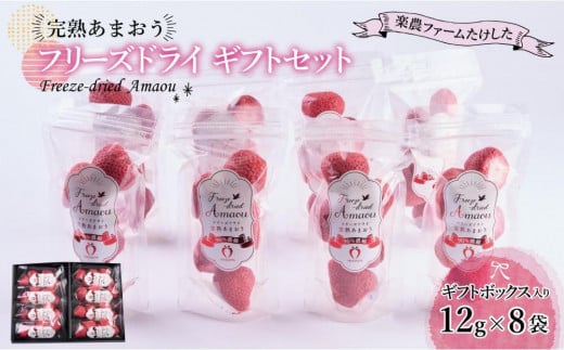 形も味もそのまま楽しめる!完熟あまおう【フリーズドライギフトセット】 (12g×8袋)【あまおう 食品 あまおう フルーツ あまおう 果物 苺くだもの いちご 食品 イチゴ 人気 あまおう おすすめ 送料無料 福岡県 大川市 AA044】