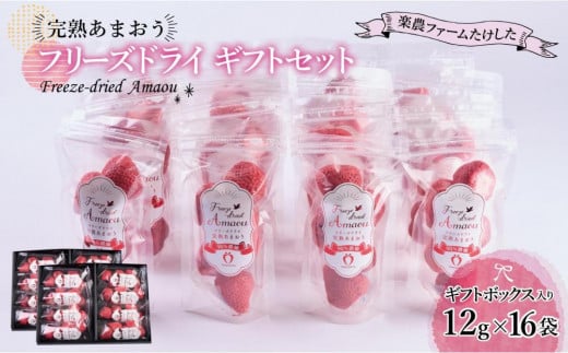 形も味もそのまま楽しめる!完熟あまおう【フリーズドライギフトセット】 (12g×16袋)【あまおう 食品 あまおう フルーツ あまおう 果物 苺くだもの いちご 食品 イチゴ 人気 あまおう おすすめ 送料無料 福岡県 大川市 AA045】