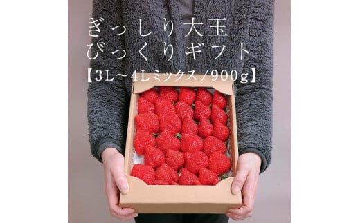 【今期発送の受付は2025年4月27日(日)まで】★身近な人間関係のお祝いに★「完熟あまおう」3L~4Lミックス詰め合わせ 900g入り【あまおう 完熟 いちご 苺 イチゴ くだもの 果物 フルーツ 大粒 900g ご当地 ブランド ギフト 人気 おすすめ 送料無料 福岡県 大川市 AA051】