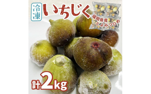※受付停止※福岡県産「博多とよみつひめ」冷凍いちじく!合計2kg