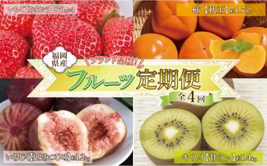 福岡フルーツ定期便A (あまおう・とよみつひめ・甘うぃ・秋王)【全4回】【あまおう 食品 あまおう フルーツ とよみつひめ  甘うぃ 秋王 果物 苺くだもの いちご 食品 イチゴ 人気 おすすめ 送料無料 福岡県 大川市 ZZ012】