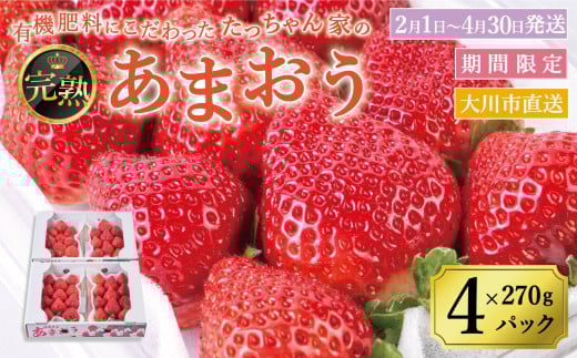 【2026年2月1日~4月30日までに発送!】有機肥料にこだわったたっちゃん家の完熟あまおう(270g×4パック)【配送不可地域:北海道・沖縄・離島】【あまおう 食品 あまおう フルーツ あまおう 果物 苺くだもの いちご 食品 イチゴ 人気 あまおう おすすめ 送料無料 福岡県 大川市 FD001】