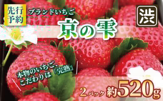 [京都のブランドいちご] 京の雫 いちご 約520g 260g×2パック [2025年12月〜2026年5月発送] イチゴ 苺 完熟 ストロベリー ベリー フルーツ くだもの 果物 ブランド デザート ケーキ ジャム デザート おやつ 甘い 糖度 新鮮 産地 直送 フレッシュ 人気 おすすめ ふるさと納税 京都 八幡 八幡市 渋谷農園