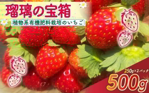 [植物系有機肥料のいちご] 瑠璃の宝箱 いちご 計500g 250g×2パック [2026年2月〜5月発送] 先行受付 有機 有機JAS 植物系有機肥料 イチゴ 苺 オーガニックイチゴ ストロベリー ベリー フルーツ ケーキ ジャム デザート 果物 甘い 国産 ブランド 新鮮 産地 直送 フレッシュ 人気 おすすめ ふるさと納税 京都 八幡 八幡市 かみむら農園