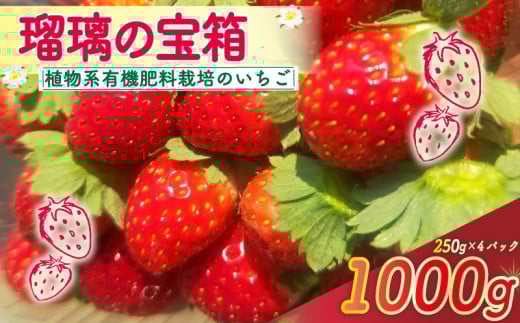 【植物系有機肥料のいちご】 瑠璃の宝箱 いちご 計1000g 250g×4パック 《2026年2月~5月発送》 先行受付 有機 有機JAS 植物系有機肥料 イチゴ 苺 オーガニックイチゴ ストロベリー ベリー フルーツ ケーキ ジャム デザート 果物 甘い 国産 ブランド 新鮮 産地 直送 フレッシュ 人気 おすすめ ふるさと納税 京都 八幡 八幡市 かみむら農園