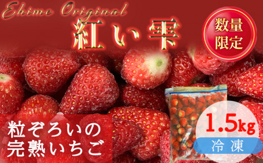 [2025年6月から発送] 愛媛県オリジナル品種 紅い雫の冷凍イチゴ 1.5kg いちご 冷凍 甘い苺 イチゴ 苺 ギフト ふるさと納税イチゴ アイスクリーム いちご ジャム スムージー ヨーグルト ストロベリー イチゴ 冷凍いちご 新鮮 果実 果汁 いちご園 すとろべりー 渡辺農園のイチゴ プレゼント 贈答 ふるさと納税苺 数量限定 お菓子作り 完熟いちご 愛媛県オリジナル品種の苺 冷凍苺