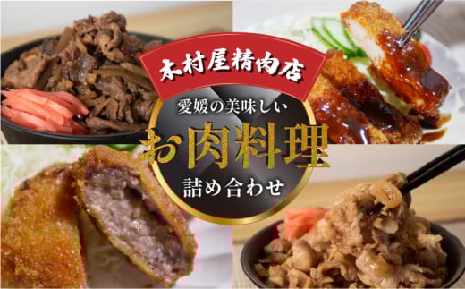 愛媛の美味しいお肉料理の詰め合わせ | 肉 肉料理 牛肉 豚肉 とんかつ メンチカツ 牛丼 豚丼 冷凍 詰め合わせ 食べ比べ セット 愛媛県産 簡単調理 ご当地グルメ 愛媛県 松山市
