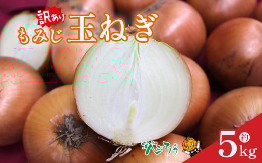 訳あり もみじ玉ねぎ5kg | たまねぎ タマネギ 玉ねぎ 野菜 常備野菜 愛媛 松山
