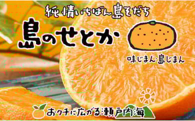 【2026年3月上旬から発送予定】 希望の島 せとか 訳あり品 2kg |愛媛 松山 みかん ミカン mikan  果物 フルーツ 柑橘 果実 先行予約 中島産 柑橘 ジューシー 愛媛県 松山市