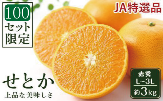 【先行受付】JAえひめ中央 ☆100セット限定☆JA特選品 せとか 赤秀 L~3L 約3kg 数量限定 おすすめ 人気