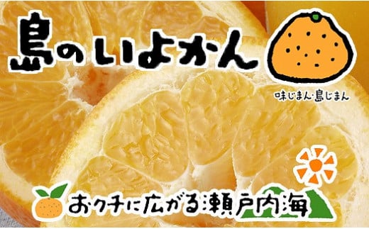 【2026年1月下旬から発送予定】 伊予柑 4kg 愛媛 中島産 いよかん みかん 柑橘 先行予約