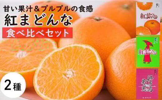 【11月下旬から発送】  紅まどんな(食べ比べ)セット ( 紅まどんな 柑橘 フルーツ まどんな みかん 愛媛 みかん 紅まどんな 蜜柑 紅まどんな )