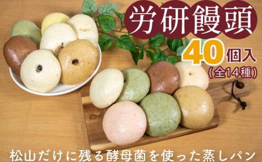 労研饅頭(ろうけんまんとう) 40個 全14種類 パン 蒸しパン 菓子パン お取り寄せスイーツ おやつ 和スイーツ あんこ 製菓 冷凍食品 酵母 酵母菌 ギフト 愛媛県 松山市