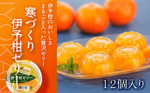 【 柑橘 寒づくり ゼリー】いよかん ゼリー 12個 セット | ゼリー いよかんゼリー みかん 蜜柑 柑橘 いよかん 伊予柑 スイーツ 愛媛県 松山市