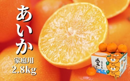 【先行予約】 【12月から順次発送】 家庭用 愛果28号 約2.8kg(ご家庭用)| 紅まどんな と同一品種 みかん ミカン 蜜柑 果物 くだもの フルーツ 高級 贈答 ギフト 贈り物 柑橘 柑橘類 かんきつ 愛媛果試第28号 常温 国産 愛媛 愛媛県 松山市
