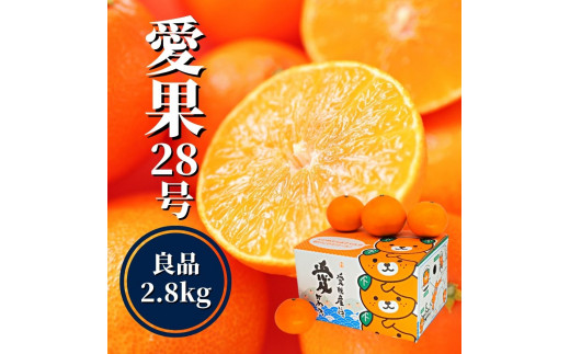【早期予約受付中!2025年12月~順次発送】【愛果28号】約 2.8kg (良品) 愛媛県産 みかん 蜜柑 オレンジ 柑橘 果物 フルーツ お取り寄せ おすすめ 愛媛県 松山市