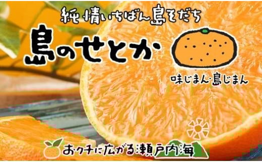 【2026年3月上旬から発送予定】 せとか 約 3kg 10玉 ~ 15玉 ( L ~ 3L ) 期間限定 愛媛県産 みかん