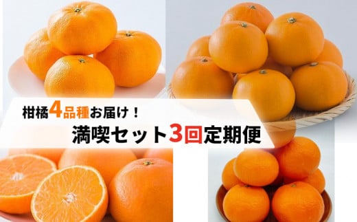 柑橘4品種お届け!満喫セット 3回 定期便 ( 紅まどんな / 甘平・伊予柑 / せとか )| 愛媛産 愛媛県産 国産 愛媛みかん 愛媛蜜柑 愛媛ミカン みかん ミカン mikan 蜜柑 柑橘 フルーツ 果物 くだもの お取り寄せ 産地直送 数量限定 人気 おすすめ 愛媛県 松山市 送料無料