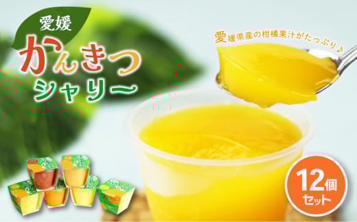 【大人気】 えひめ 柑橘 シャリー 12個 冷凍 氷菓 果汁 シャーベット ゼリー 柑橘 ゼリー みかん加工品 果物ゼリー フルーツ 果物 くだもの 愛媛みかん フローズン みかんシャーベット スイーツ 産地直送 ご当地 愛媛県 松山市