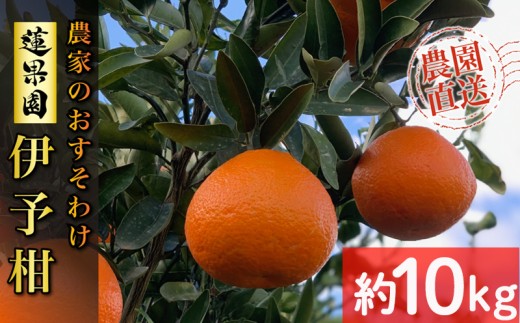 【ふるさと納税】 【先行予約】 【2026年1月から発送予定】 家庭用 宮内伊予柑  10kg サイズ混合  ( 訳あり 柑橘 みかん 果物 くだもの フルーツ おすすめ  人気 お取り寄せ グルメ ギフト 期間限定 数量限定 ご当地 愛媛県 松山市 )