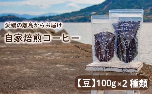 【豆】100g×2種類 おまかせ 自家焙煎コーヒー 選べる 自家焙煎 珈琲 コーヒー 愛媛県 松山市