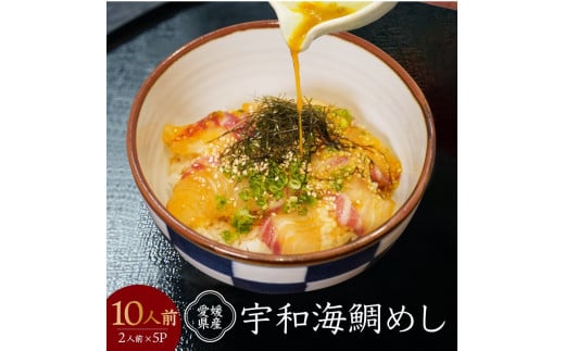 愛媛県産 宇和海鯛めし 2人前 × 5パック ( 10人前 ) 宇和島風 鯛めし 愛媛 松山 グルメ 魚 鯛 ごはん 鯛めし 鯛めし 鯛めし