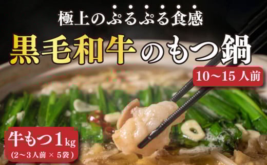 国産黒毛和牛 もつ鍋セット 計1kg (200g×5パック) ホルモン 小分け冷凍 モツナベ 牛もつ 牛ホルモン 鍋パーティー 10人前~15人前 コラーゲンたっぷり 肉 牛肉 和牛 鍋 セット 冬 惣菜 簡単調理 人気 おすすめ お取り寄せ グルメ 送料無料 愛媛県 松山市