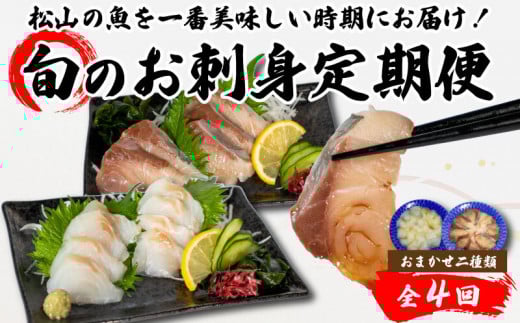 <春からお届け>【全4回】 旬のお刺身定期便 (2~3人前×2種類) 魚 切身 鮮魚 刺身セット 刺身2種盛り 刺身 お刺身 お刺し身 魚介 海の幸 小分け 個包装 冷凍 鯛 カワハギ スズキ イカ サワラ タコ ハマチ ヒラメ 愛媛県 松山市