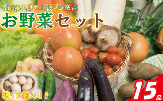 【野菜ソムリエ上級プロ厳選】 野菜セット 15品 ( みかんたまご 10個入り ) | 新鮮 野菜 セット 詰め合わせ 卵 たまご 旬 産地 直送 国産 季節の野菜 愛媛県 松山市