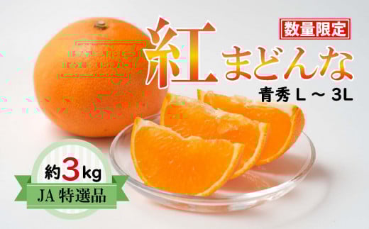 [先行受付]JA特選品 紅まどんな(青秀L〜3L 約3kg) みかん ミカン 蜜柑 果物 くだもの まどんな フルーツ 高級 贈答 ギフト 贈り物 柑橘 柑橘類 かんきつ 愛媛果試第28号 愛果28号 常温 国産 愛媛県 松山市