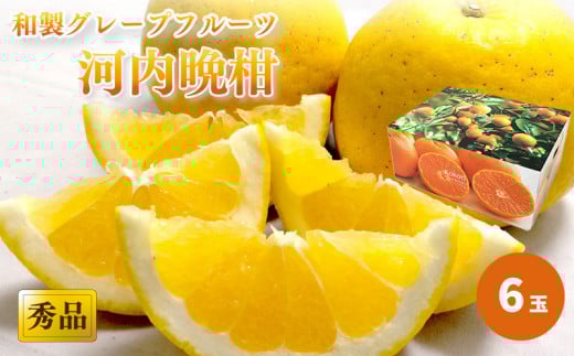 【2026年4月上旬頃から発送】 河内晩柑 秀品 ６玉 ギフトBOX入り｜ 和製グレープフルーツ ジューシーオレンジ 夏文旦 木成り熟成 爽やか みかん ミカン 蜜柑 甘い   酸味 数量限定 期間限定  愛媛県産 甘み 香り  柑橘 松山市 贈答 新鮮