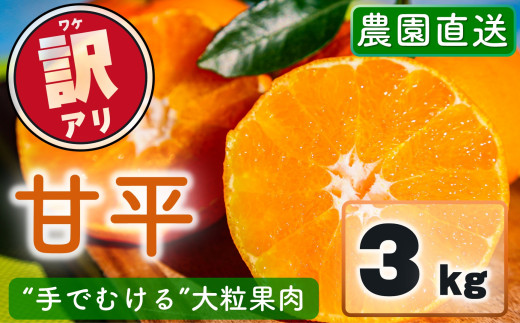 【先行予約】 訳あり 農園直送 甘平(かんぺい) 3kg 【1月上旬~2月中旬発送】 愛媛県限定 希少 高級柑橘 手でむける みかん 果物 フルーツ 愛媛県 松山市