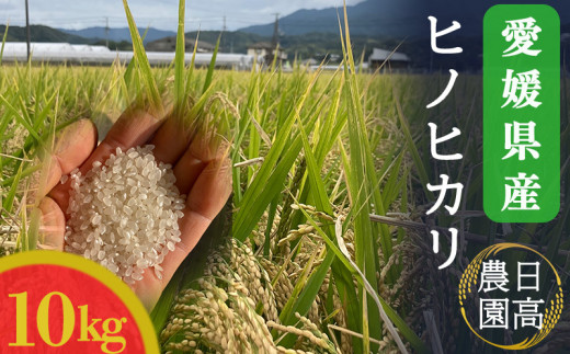令和7年産!愛媛県産ヒノヒカリ 10kg |産地直送 国産  白米 ブランド米 期間限定 数量限定 ご当地 愛媛県 松山市