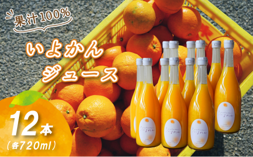 【先行予約 2026年4月発送予定】いよかんストレート果汁100%ジュース 720ml×12本