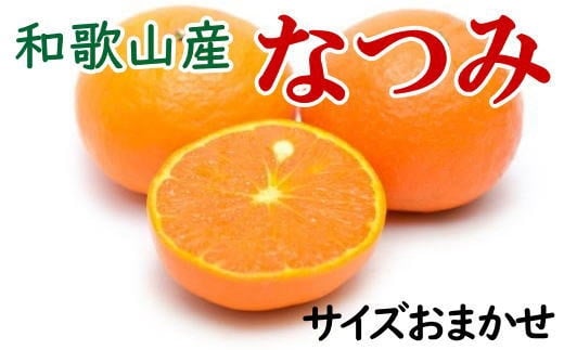 [希少柑橘]和歌山県産なつみ約5kg(S〜2Lサイズおまかせ)[tecj1021]