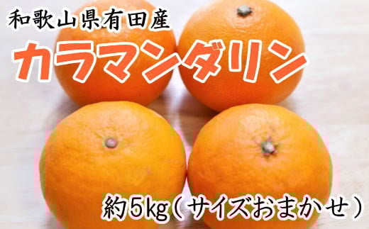 [春みかん]和歌山有田産カラマンダリン約5kg(サイズおまかせ)※2026年4月上旬〜2026年5月中旬頃に順次発送[tecj1022]