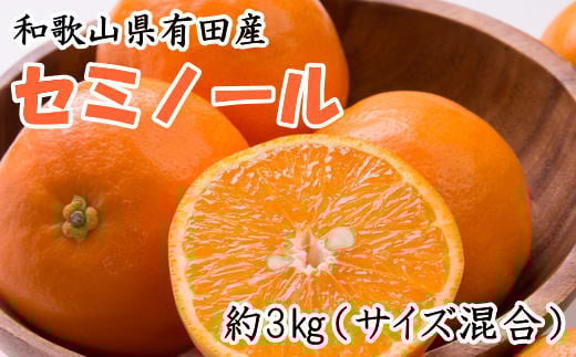 [濃厚オレンジ]和歌山有田産セミノール約3kg(サイズ混合 秀品)[tecj1023]