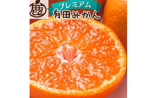 [先行予約]プレミアム有田みかん 10kg+250g(傷み補償分) ※11月より発送(完熟)[光センサー選果] ※北海道・沖縄・離島配送不可 /みかん ミカン 果物 果実 有田 和歌山 フルーツ オレンジ[ikd215]
