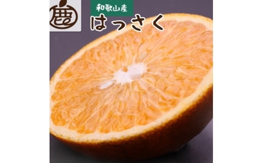 [先行予約]厳選はっさく1kg+250g(傷み補償分)[八朔みかん][1月より発送]※北海道・沖縄・離島への配送不可[ikd220]