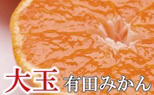 [先行予約]家庭用 大きな有田みかん 大きな(2L以上混合) 5kg+250g ※11月より発送[わけあり・訳あり][光センサー選果] ※北海道・沖縄・離島への配送不可 / 和歌山 オレンジ 果物 フルーツ 果汁 柑橘 みかん ミカン[ikd156B]