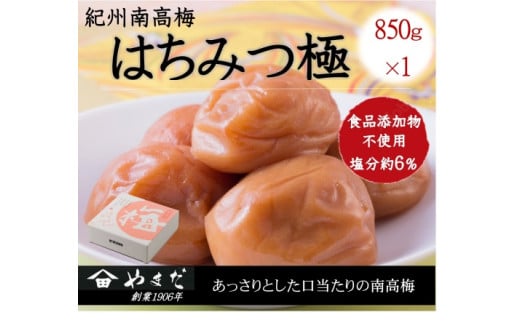 紀州南高梅はちみつ極塩分約6%(850g) / 南高梅 紀州南高梅 梅 梅干し うめ 紀州 おかず はちみつ【ymdm013】