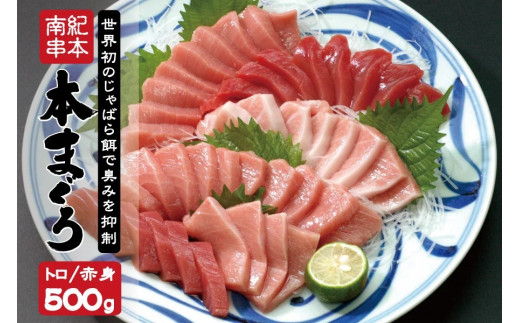 まぐろ 本マグロ トロ&赤身セット 500g(養殖)[1ヶ月以内に発送][配達日指定不可] 濃厚な赤身と高級部位トロの鮪好きにはたまらないセット / マグロ 鮪 中トロ 赤身 大トロ 本マグロ 刺身 さしみ 柵 魚 和歌山県 串本町[nks110D]