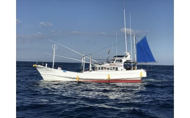 沖釣り体験【大人1名様 半日コース】【trm100A】