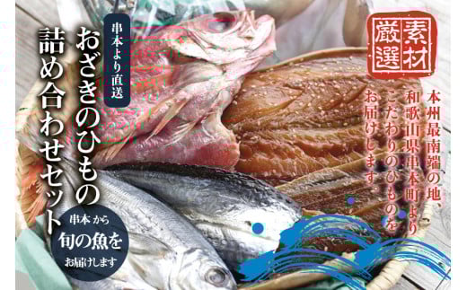 おざきのひもの 詰め合わせセット＜旬の魚をお届け！＞（Aセット） 【冷蔵】【ozk100】