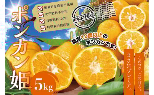 【先行予約】プレミア和歌山認定! ポンカン姫 5kg 【1月上旬~2月上旬発送予定】 数量限定の極上ポンカン 柑橘類 ぽんかん フルーツ 果実 みかん ミカン オレンジ 旬 限定【sse103】