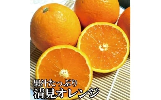 【農家直送】果汁たっぷり!清見オレンジ 約5kg  有機質肥料100%  サイズ混合 ※2026年3月上旬より順次発送予定(お届け日指定不可)【nuk112B】
