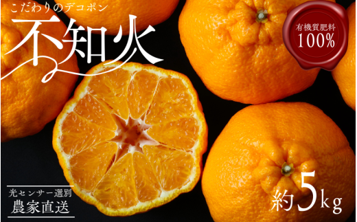 【農家直送】こだわりのデコポン不知火 約5kg  有機質肥料100% ※2026年2月中旬より順次発送予定(お届け日指定不可)【nuk111C】